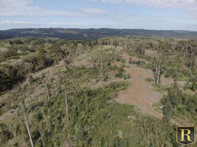 Chácara para Venda em Guarapuava, Rio das Pedras