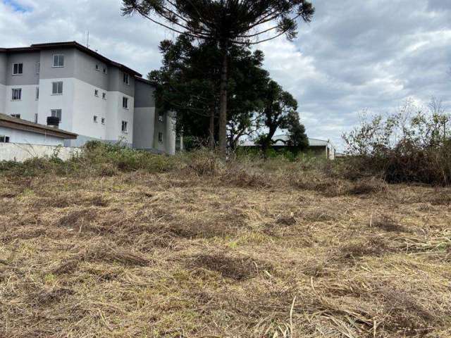 Terreno para Venda em Guarapuava, Conradinho