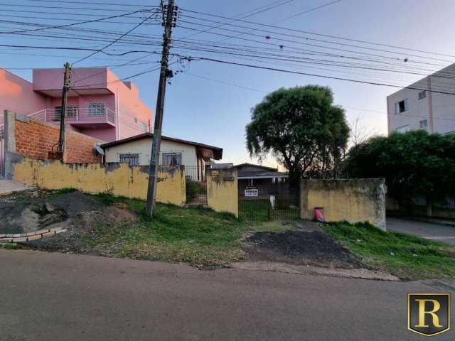 Terreno para Venda em Guarapuava, Santa Cruz