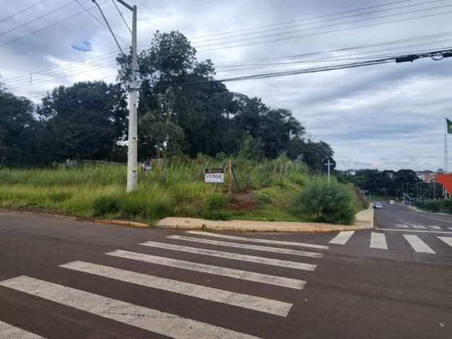 Terreno para Venda em Guarapuava, Dos Estados