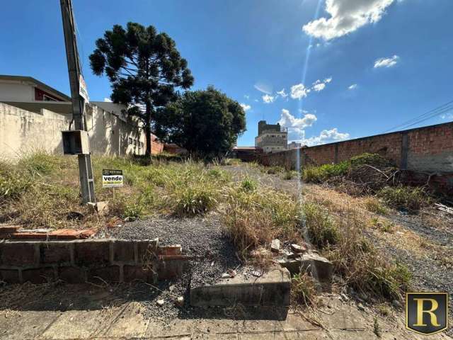 Terreno para Venda em Guarapuava, Centro