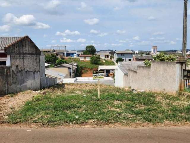 Terreno para Venda em Guarapuava, Industrial