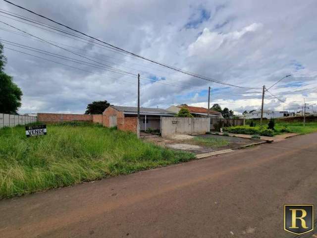 Terreno para Venda em Guarapuava, Cascavel