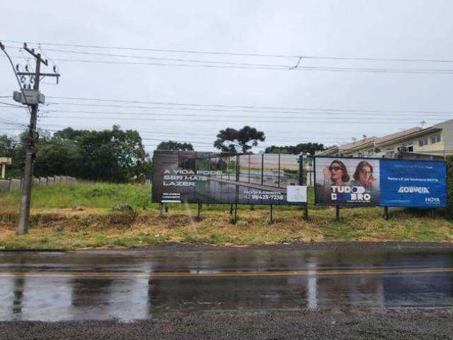 Terreno para Venda em Guarapuava, Trianon