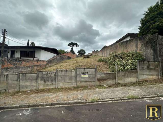 Terreno para Venda em Guarapuava, Santa Cruz