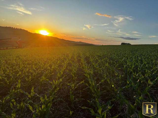 Fazenda para Venda em Goioxim, Rural