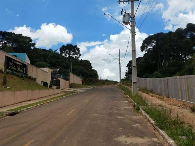 Terreno para Venda em Guarapuava, Morro Alto