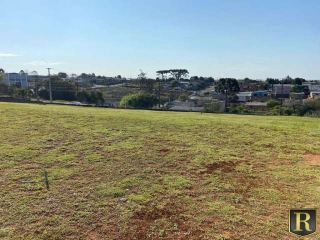 Terreno para Venda em Guarapuava, Cascavel