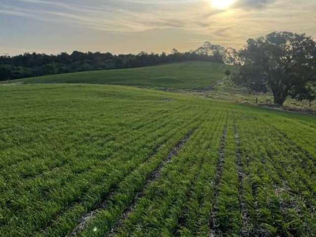 Fazenda para Venda em Palmital, Rural