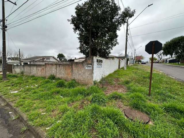 Terreno para Venda em Guarapuava, Dos Estados