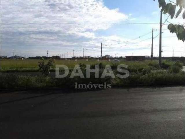 Lote / Terreno em Bairro Jardim Anastácio  -  Barretos