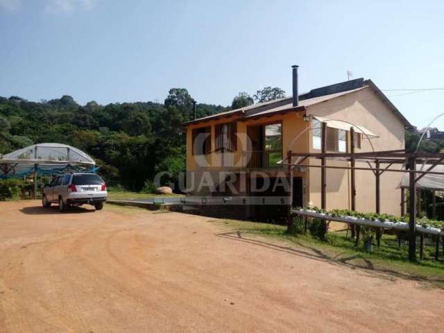 Chácara / sítio com 3 quartos à venda na Estrada João Passuelo, 1150, Vila Nova, Porto Alegre por R$ 1.500.000