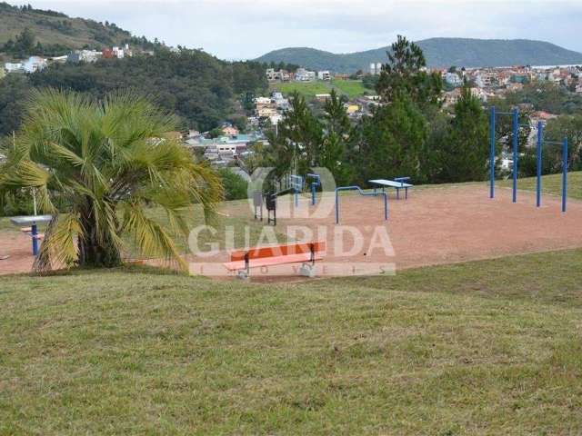 Terreno à venda na Estrada Cristiano Kraemer, 3111, Vila Nova, Porto Alegre por R$ 249.000