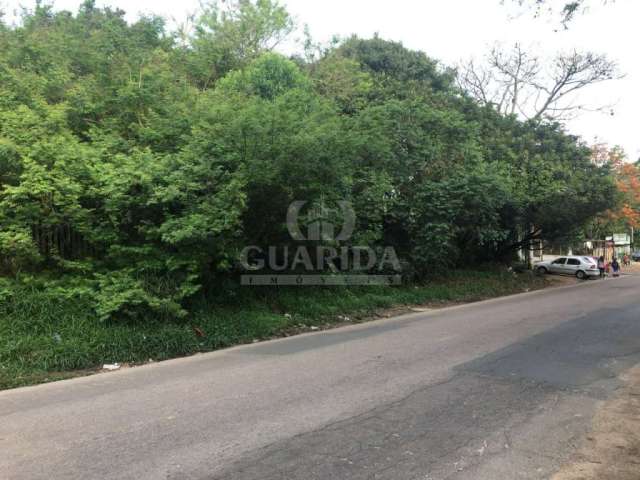 Terreno à venda na Estrada Cristiano Kraemer, 930, Vila Nova, Porto Alegre por R$ 270.000