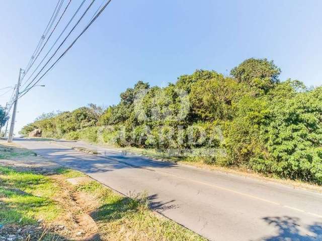 Terreno à venda na Estrada Cristiano Kraemer, 3111, Vila Nova, Porto Alegre por R$ 250.000