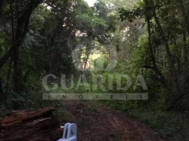 Chácara / sítio com 1 quarto à venda na Estrada São Caetano, 2501, Lami, Porto Alegre por R$ 2.500.000