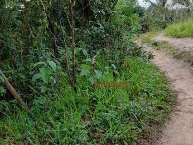 Terreno para Venda em Entre Rios/BA