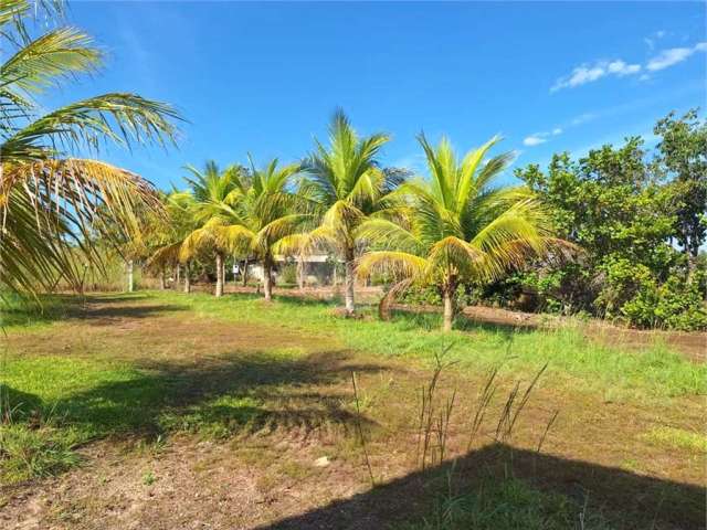 Chácara com 4 quartos à venda em Área Rural De Cuiabá - MT