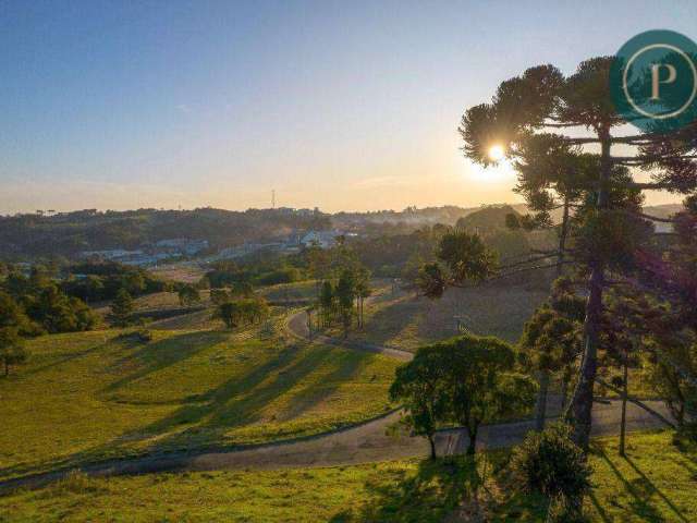 Terreno à venda em condomínio de alto padrão, próximo a Av. Manoel Ribas - Experimente o Atendimento Boutique!