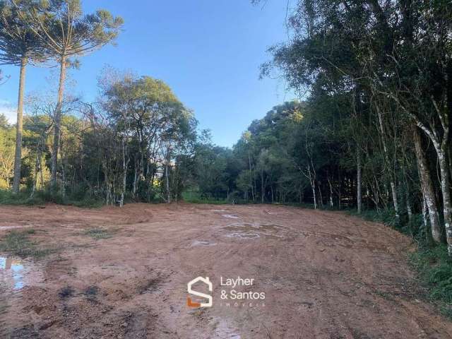 Terreno de 3 Mil metros - Borda do Campo SJP