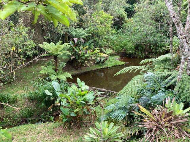 Sítio para Venda em Nova Friburgo, São Lourenço, 3 dormitórios, 1 banheiro