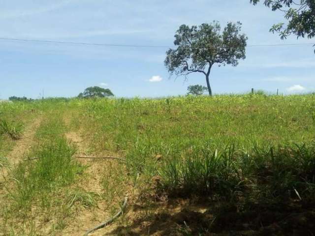 Chácara para Venda em Bela Vista de Goiás