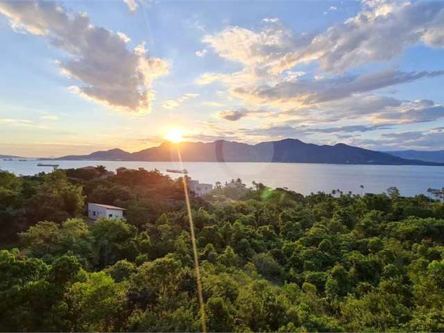 Terreno à venda em Siriúba - SP