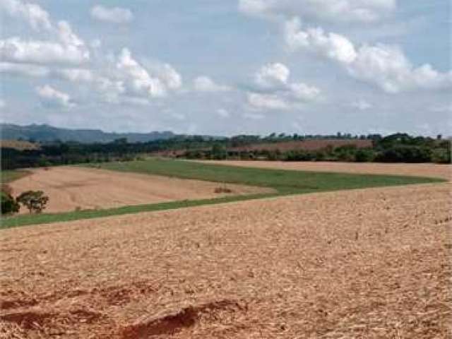 Rural com 1 quartos à venda em Área Rural De Ribeirão Preto - SP