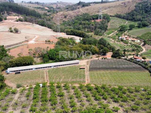 Chácara / sítio com 3 quartos à venda na Domingos Stoco, 1000, Bairro do Morro, Itatiba, 1140 m2 por R$ 1.060.000