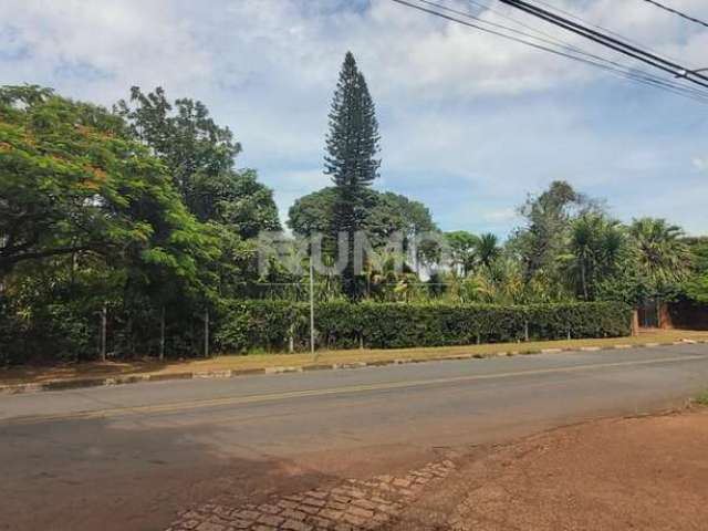 Terreno comercial à venda na José Pugliessi Filho, s/n, Barão Geraldo, Campinas por R$ 12.200.000