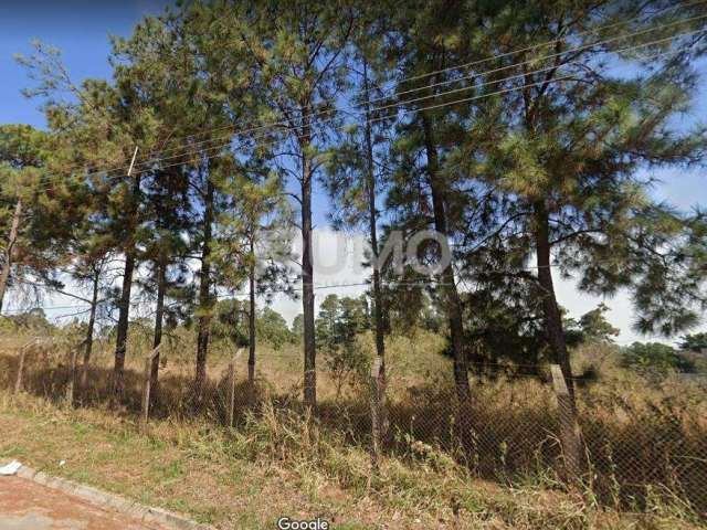 Terreno comercial à venda na Jandyra Oliveira Ricato, snº, Chácara Monte Alegre, Sumaré por R$ 1.280.000