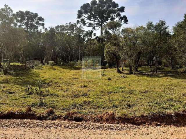 Terreno para Venda em São José dos Pinhais, Roseira de São Sebastião