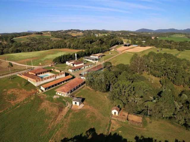 Haras para Venda em São José dos Pinhais, Colônia Murici, 4 dormitórios, 2 suítes, 5 banheiros, 10 vagas