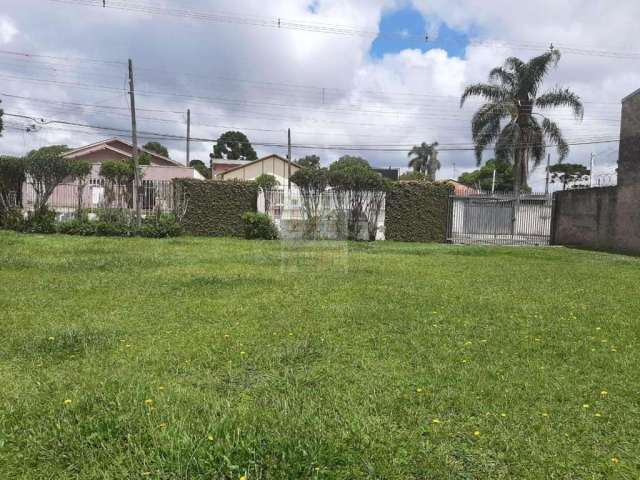 Terreno para Venda em São José dos Pinhais, Borda do Campo, 2 dormitórios, 1 banheiro