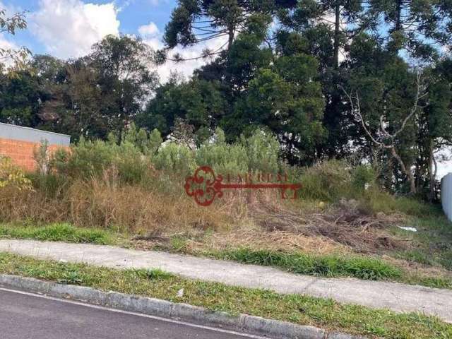 Terreno Residencial à venda, Rio Pequeno, São José dos Pinhais - TE0057.