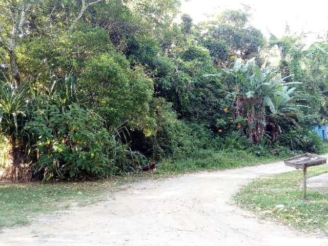 Terreno com 2000 metros em local maravilhoso  com muito verde