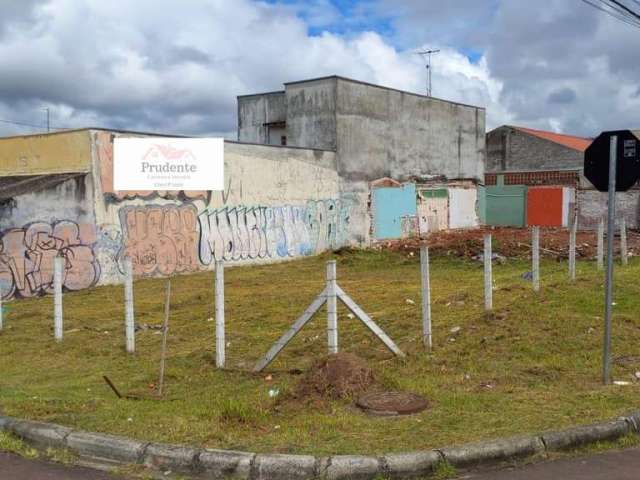 Terreno para Venda em Curitiba, CAPÃO  RASO