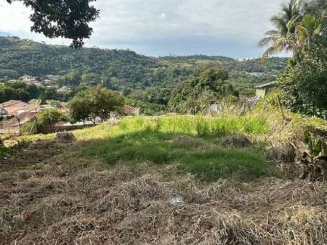 Terreno à venda no Jardim Comendador Antonio Annunziato, Águas da Prata , 314 m2 por R$ 95.000