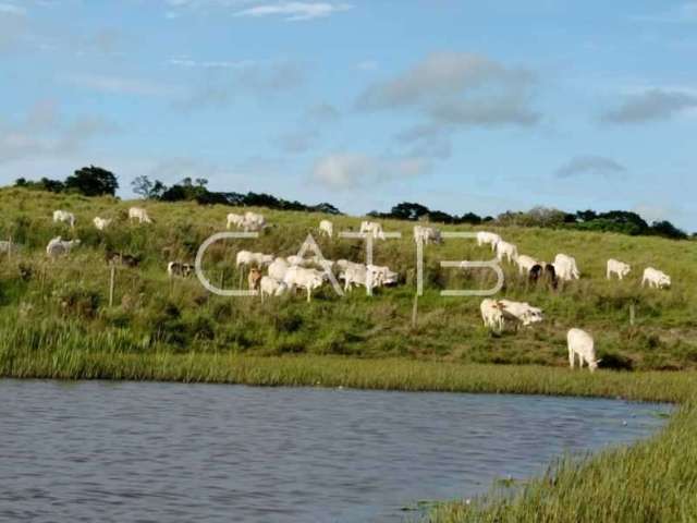 Fazenda à venda na Rea Á Rural, Campos de Holambra, Paranapanema por R$ 10.000.000