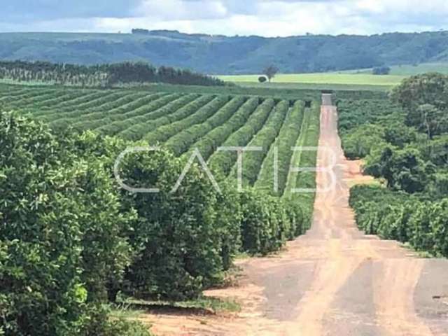 Fazenda à venda na Rua Paulo Henrique Michelete, São Paulo, Marília por R$ 190.000.000