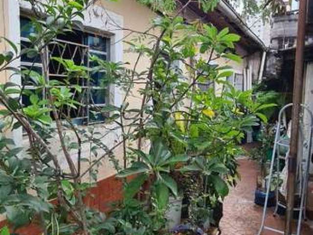 Terreno 10x30 m com casa no Bosque da Saude - Sao Paulo