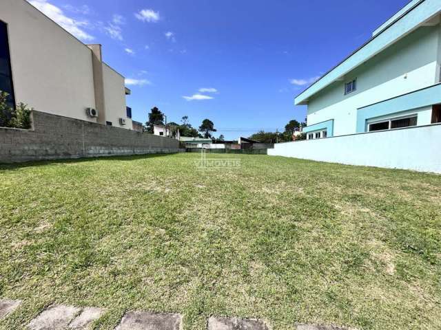 Terreno para Venda em Florianópolis, São João do Rio Vermelho