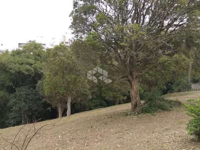 Terreno amplo com mais de 6 mil m²