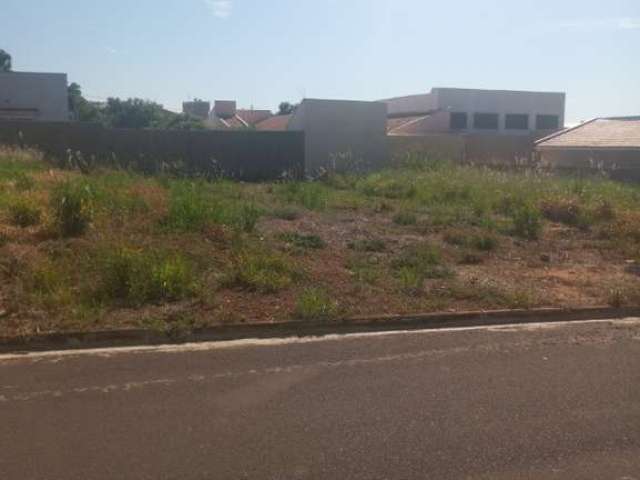 Terreno à venda em Birigüi-SP, Parque das Árvores - 250m² de área!