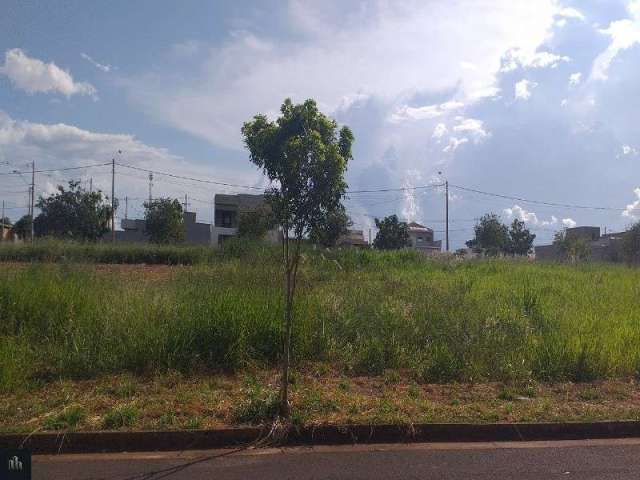 Terreno à venda em Birigüi-SP, bairro Parque das Árvores II, 250m² de área!