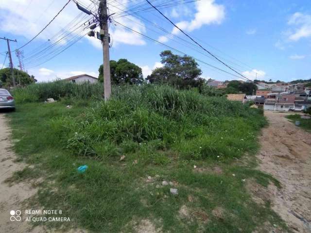 Terreno à venda, 442 m² por R$ 90.000 - Balneário das Conchas - São Pedro da Aldeia/RJ