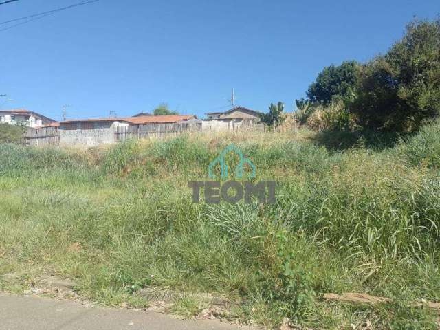 Terreno à venda, 1000 m² por R$ 1.400.000,00 - Belém - Taubaté/SP