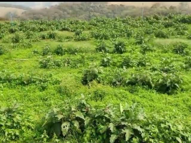 Maravilhoso terreno a venda em tuiuti no bairro lima rico