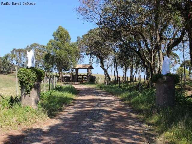 Haras Rural à venda, Piedade, Piedade - HA0047.