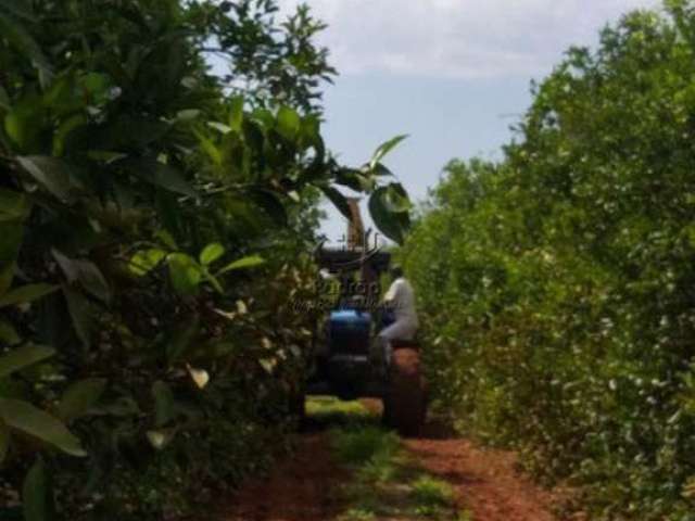 Área Rural à venda, ,  - AR0081.